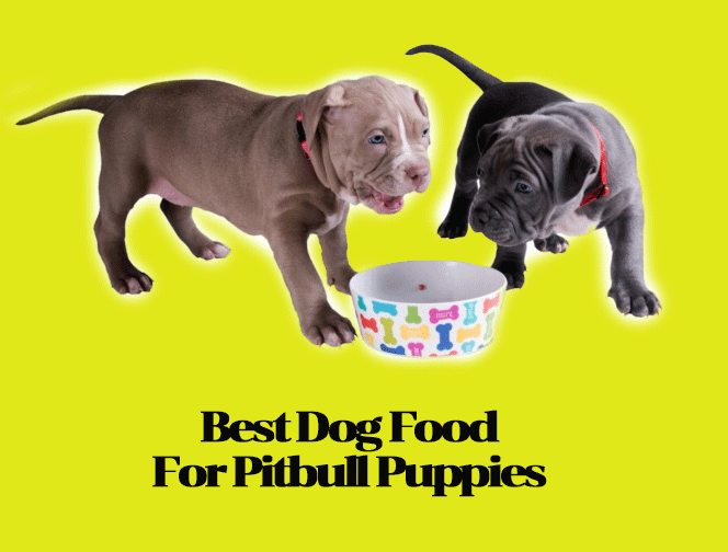 Best-Dog-Food-For-Pitbull-Puppies.gif