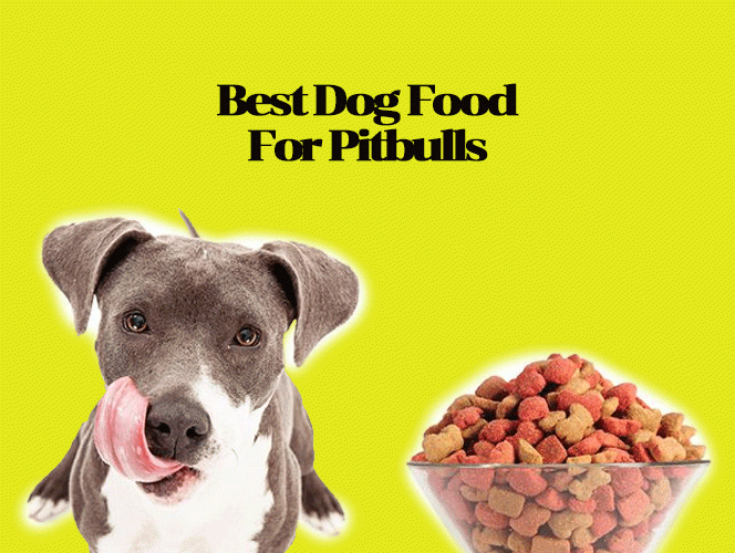 Best Dog Food For Pitbulls –  Offering Your Canine The Right Diet Regime